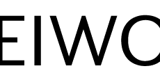 EIWO-Project Logo