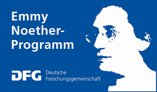 Logo des Emmy-Noether Programms der DFG